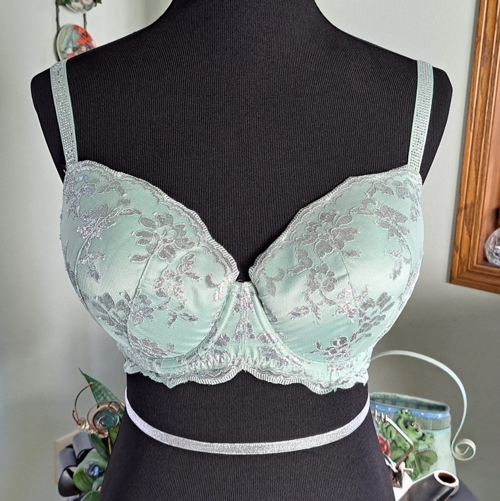 Victoria's Secret Mint with Silver Lace Bra 36DD